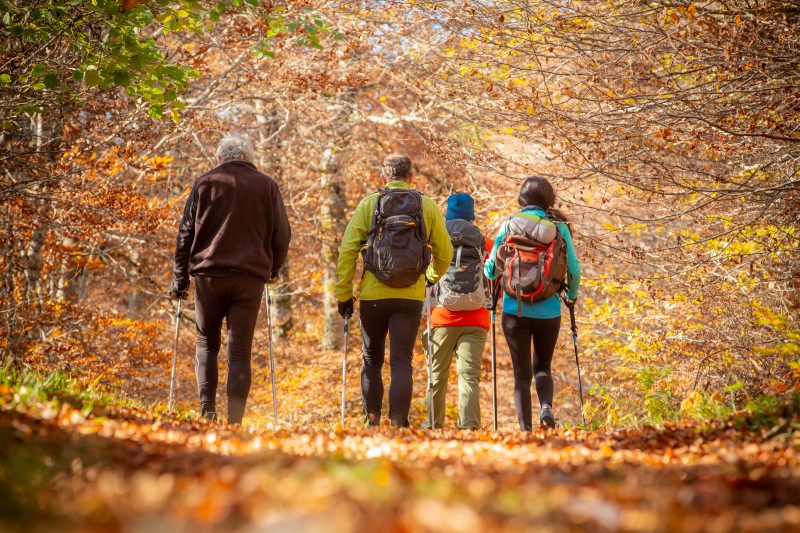 Randonnée en automne