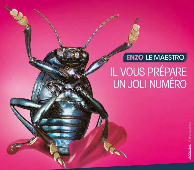 Enzo, le scarabé star de Micropolis, la cité des insectes, Aveyron