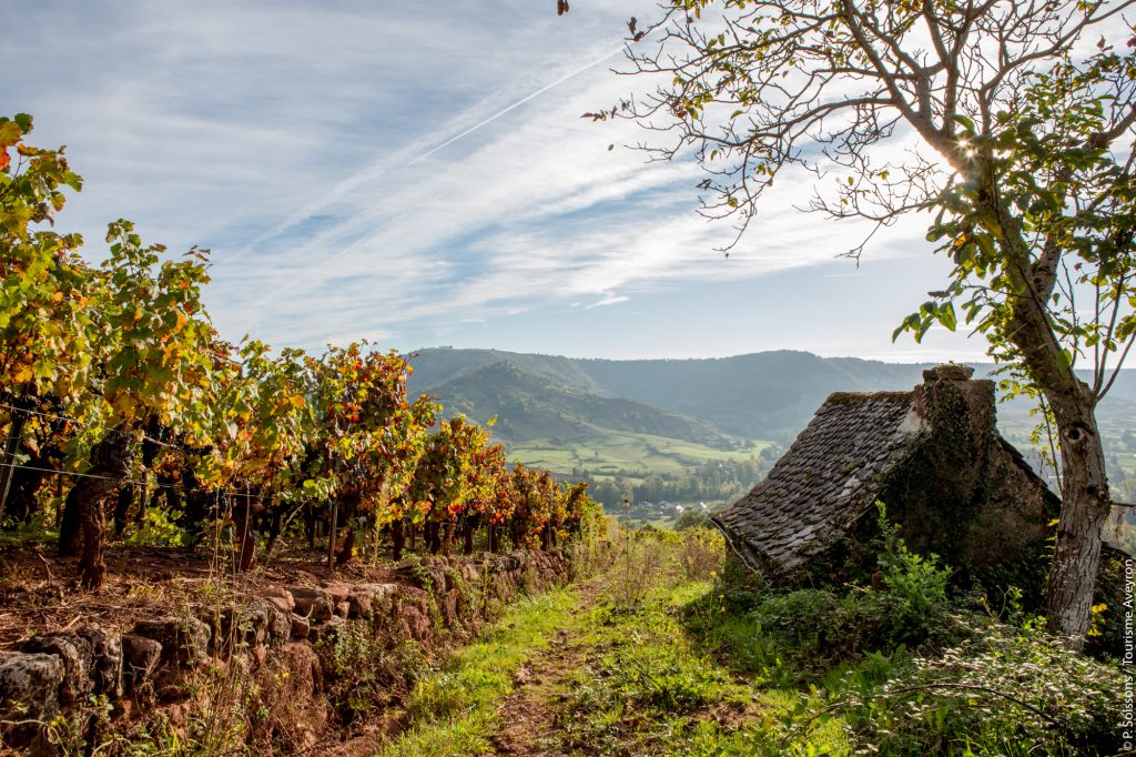 Vignes et petit patrimoine du vallon de Marcillac, Aveyron © P. Soissons 