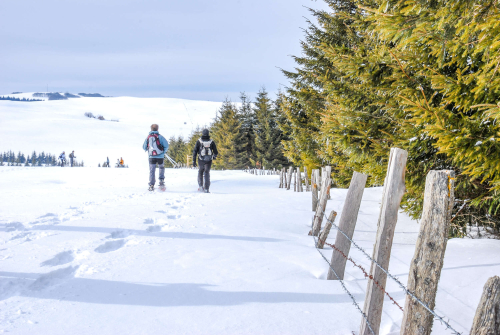 Raquettes sur l'Aubrac