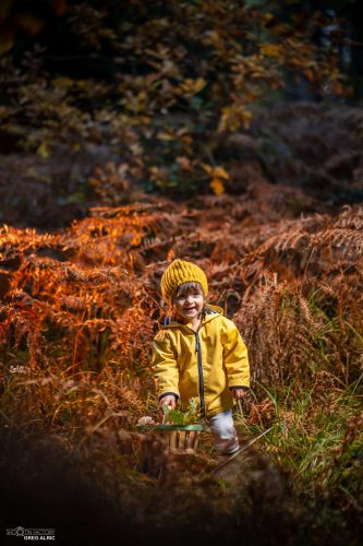 Cueillette dans un bois du Lévézou